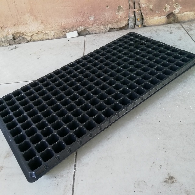 Khay ươm hạt giống 200 lỗ bằng nhựa, kích thước lỗ 25x25x40